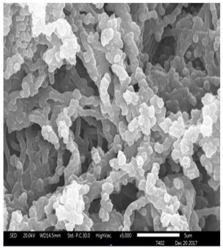 Carbon nanotube/polypyrrole composite fiber and its preparation method and its application in transistor sensors