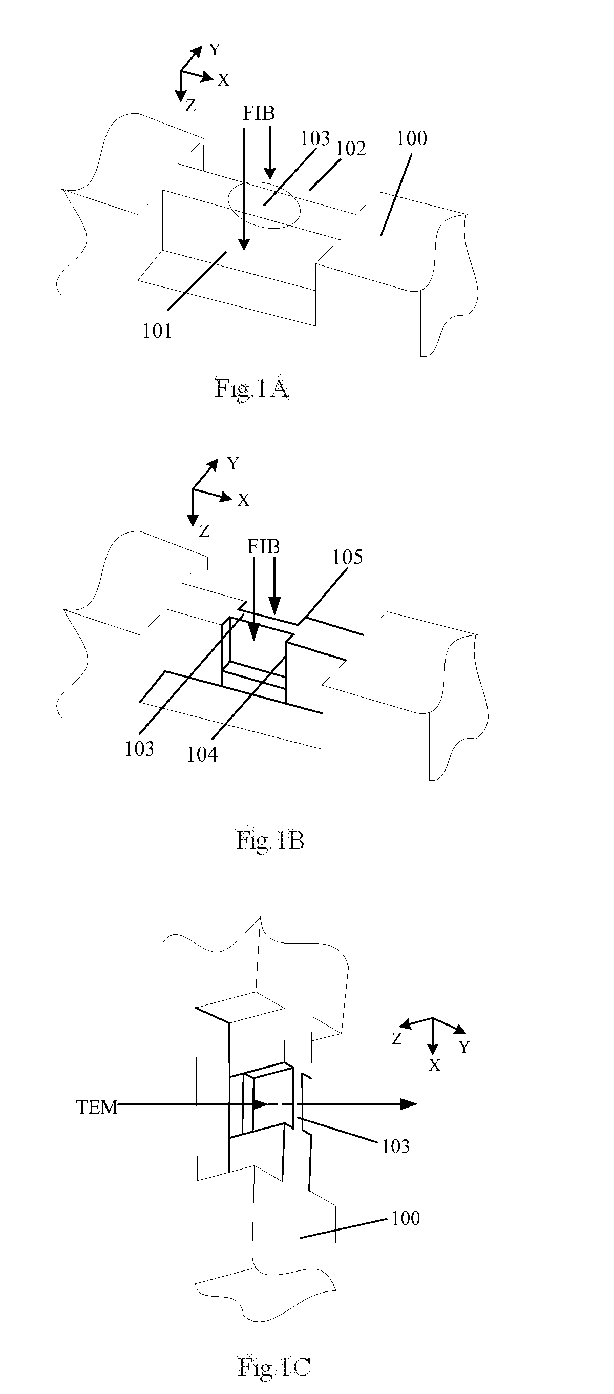 Method of preparing a sample for transmission electron microscopy