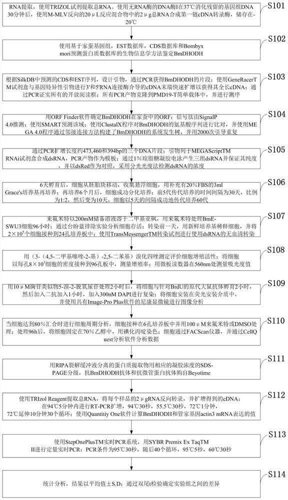 A method for molecular cloning and identification of silkworm genes