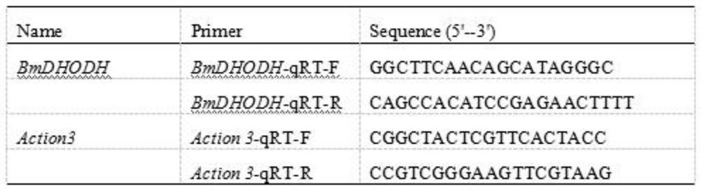 A method for molecular cloning and identification of silkworm genes