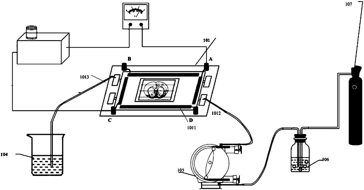 Nerve regulating and controlling method and device