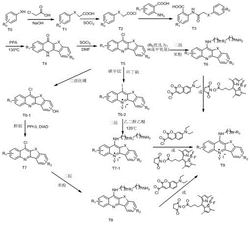 A kind of biological probe of methylbenzofuran quinolines and its preparation method and application