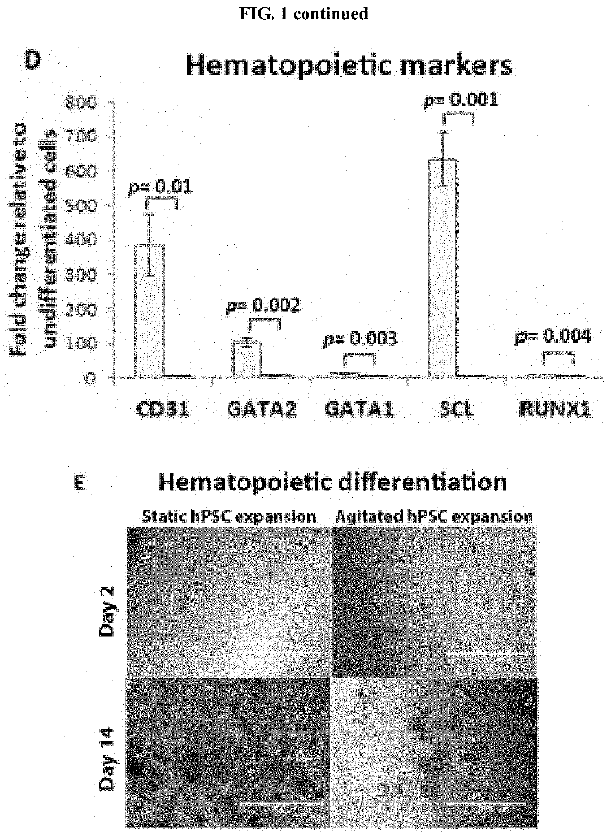 Method for Differentiation of Human Pluripotent Stem Cell Lines in Suspension Culture