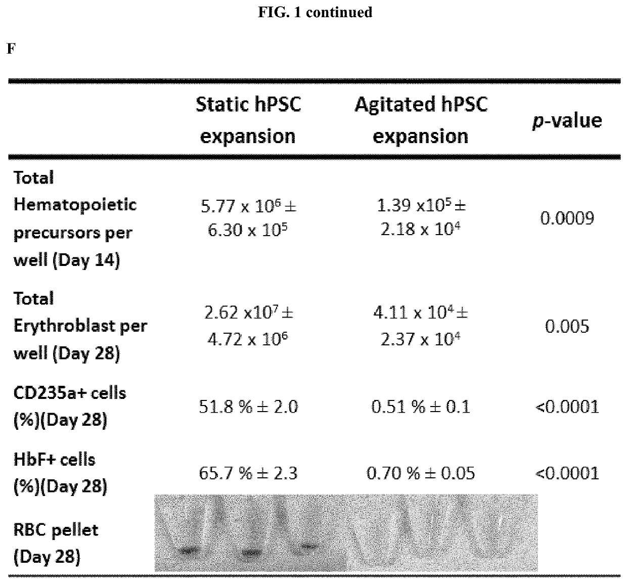 Method for Differentiation of Human Pluripotent Stem Cell Lines in Suspension Culture