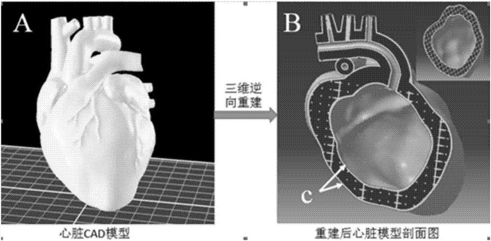 Method for building hollow vascularized heart based on 3D biological printing technology and hollow vascularized heart