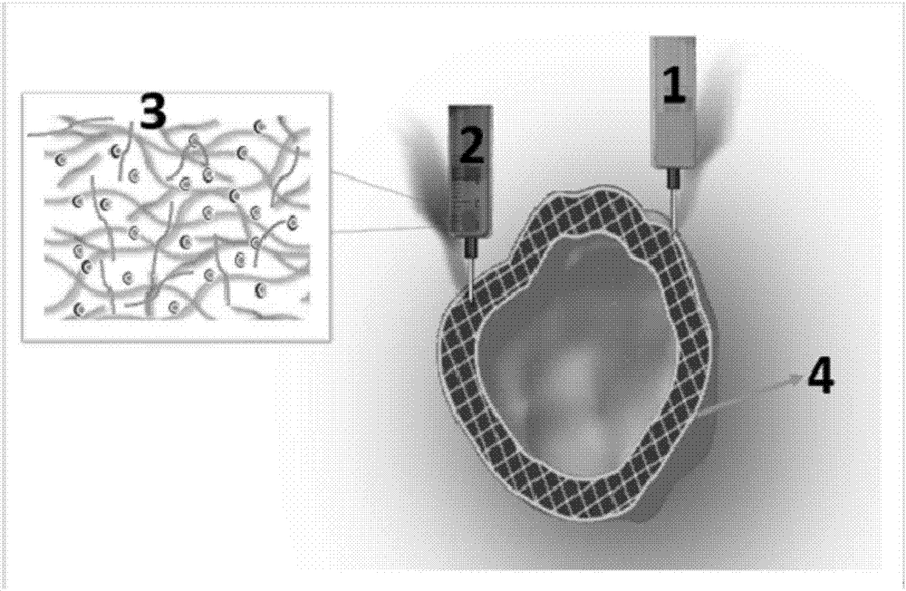 Method for building hollow vascularized heart based on 3D biological printing technology and hollow vascularized heart