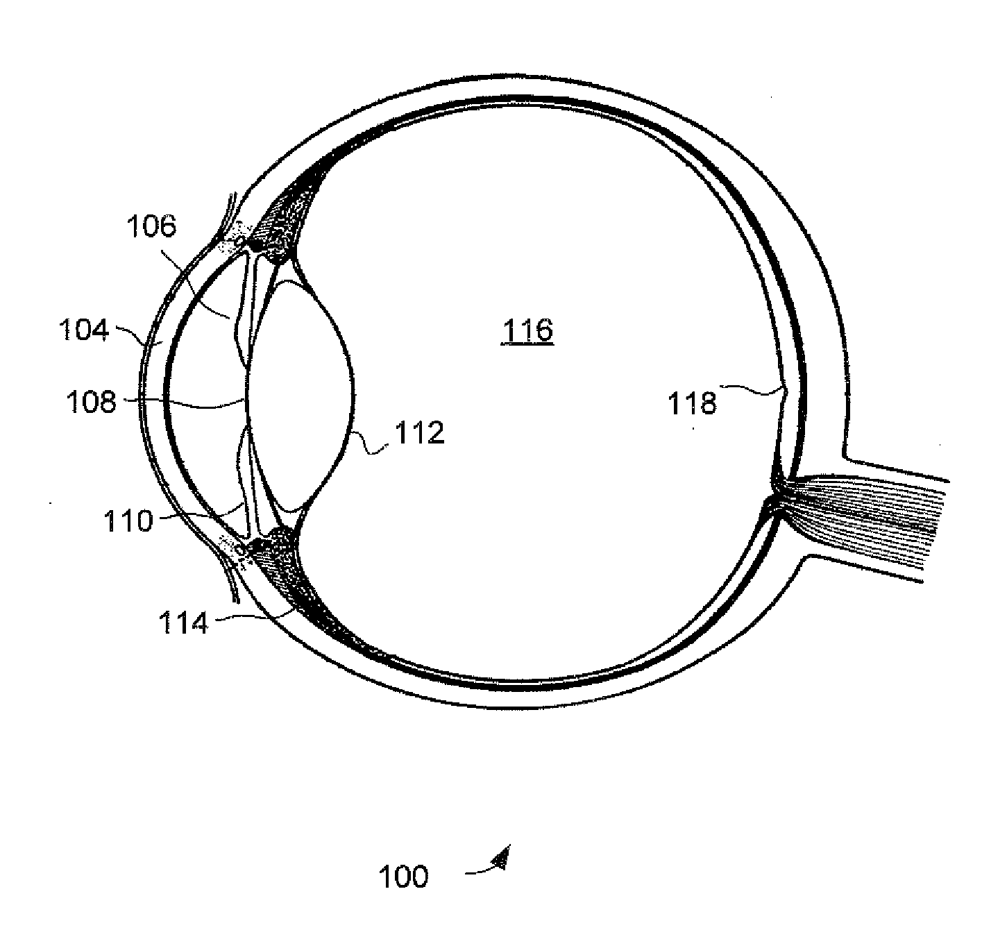System and method for ocular aberrometry and topography using plenoptic imaging