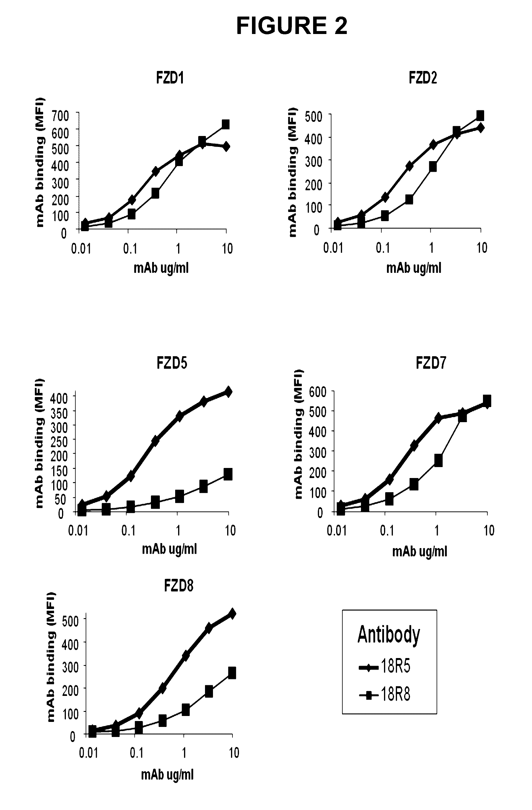 Antibodies against human FZD5 and FZD8