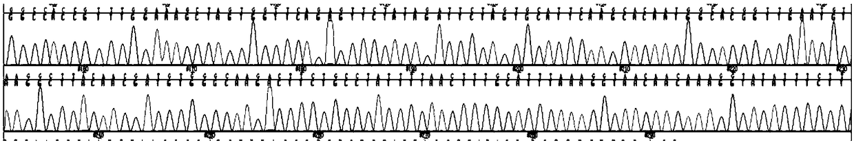 Primer group, kit and method for detecting c-kit gene mutation