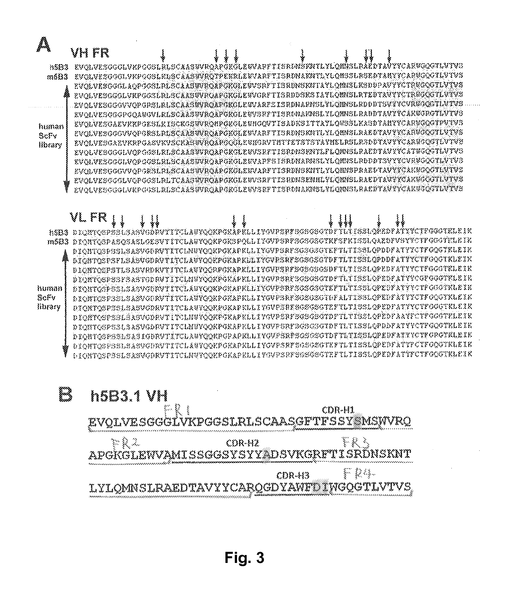 Antibodies against f glycoprotein of hendra and nipah viruses