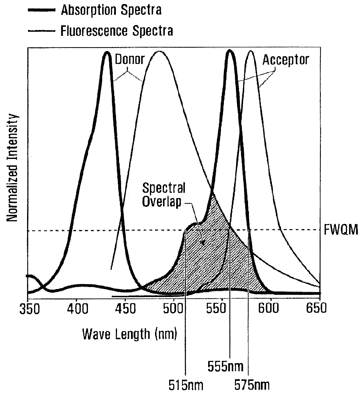 Biophotonic materials and uses thereof