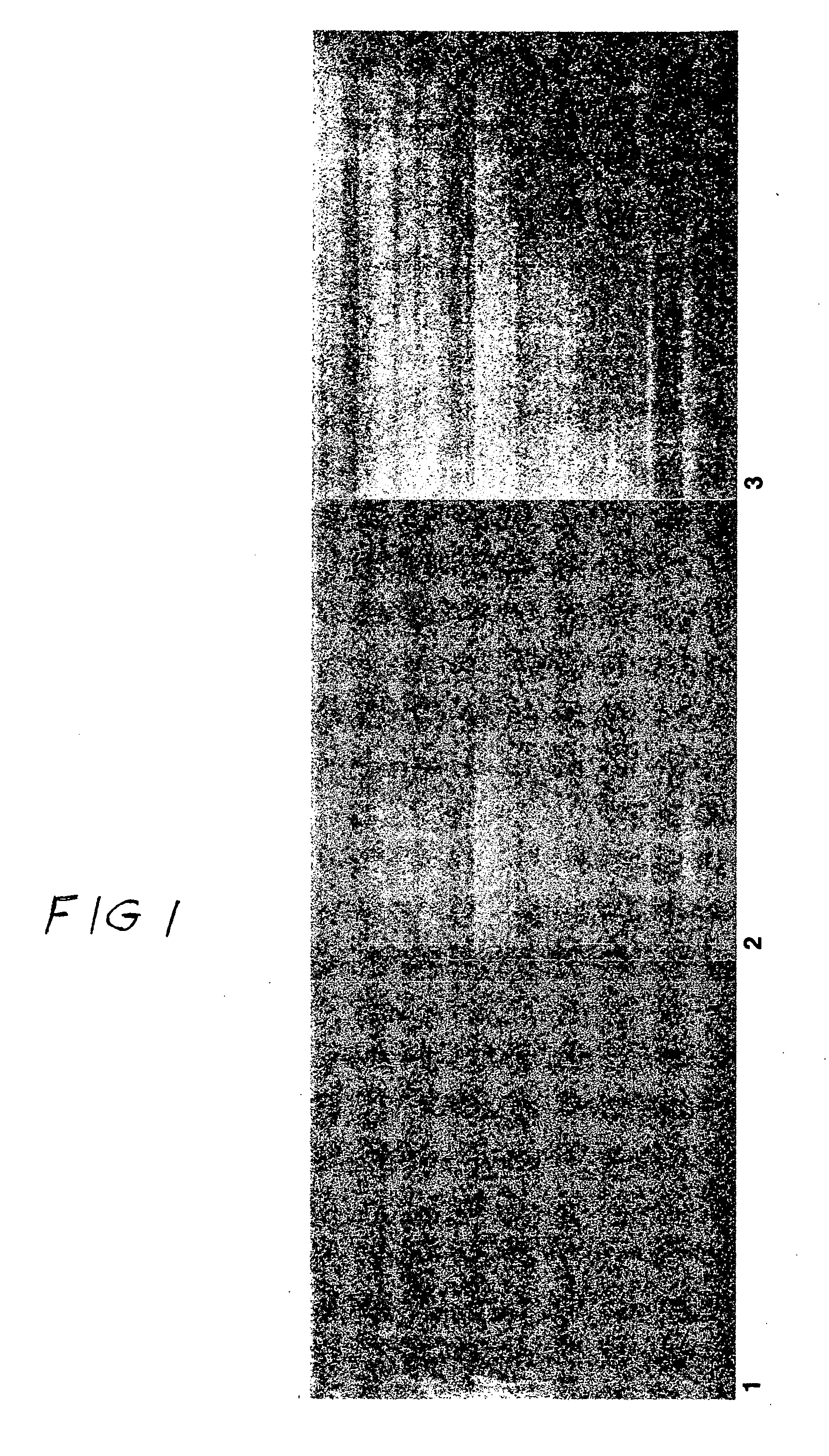 Paint with color change additive and method of application and painted substrate