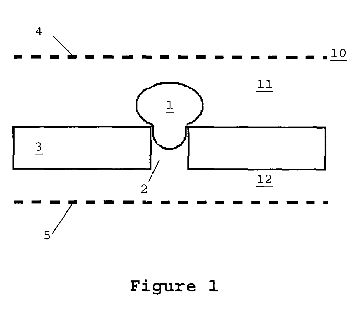 Method and device for electroporation of biological cells