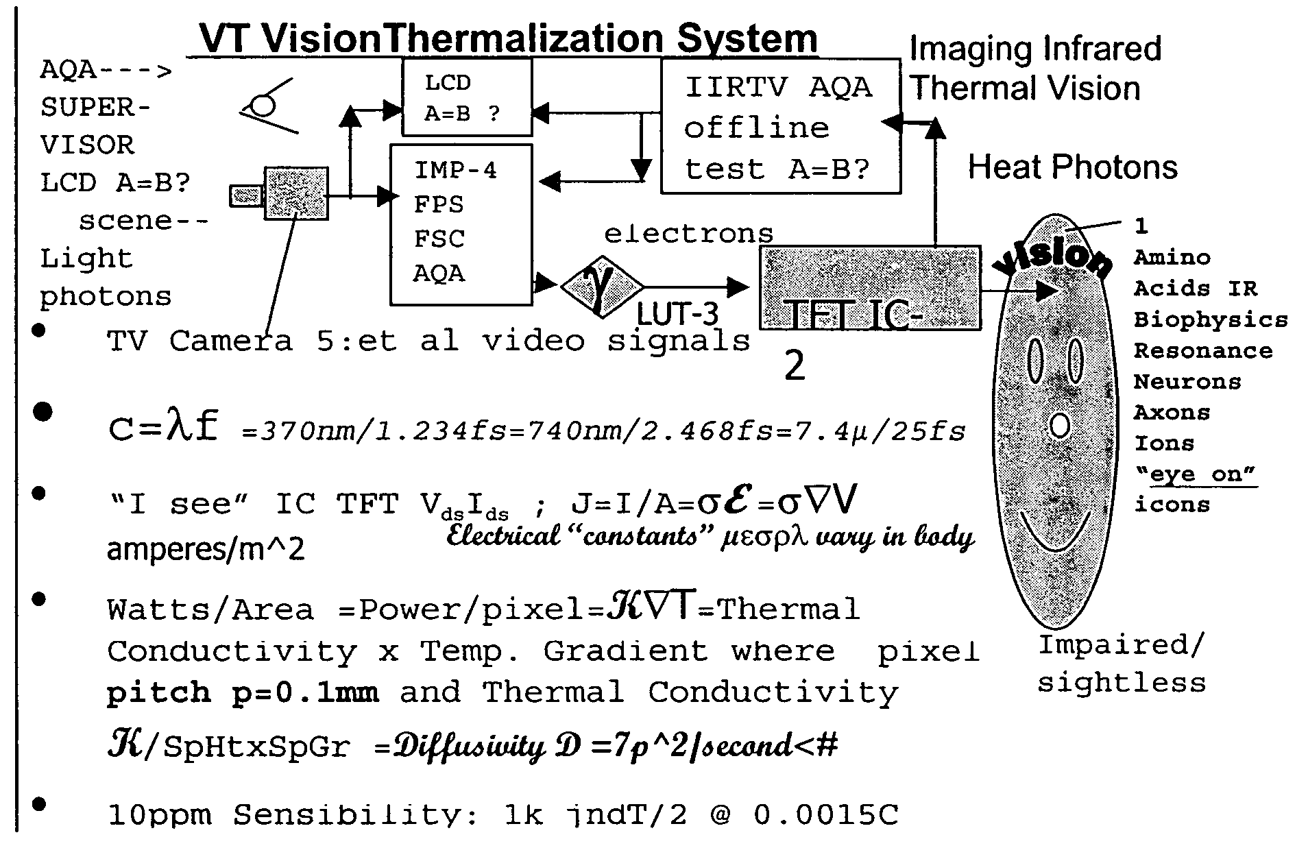 Vision thermalization for sightless and visually impaired