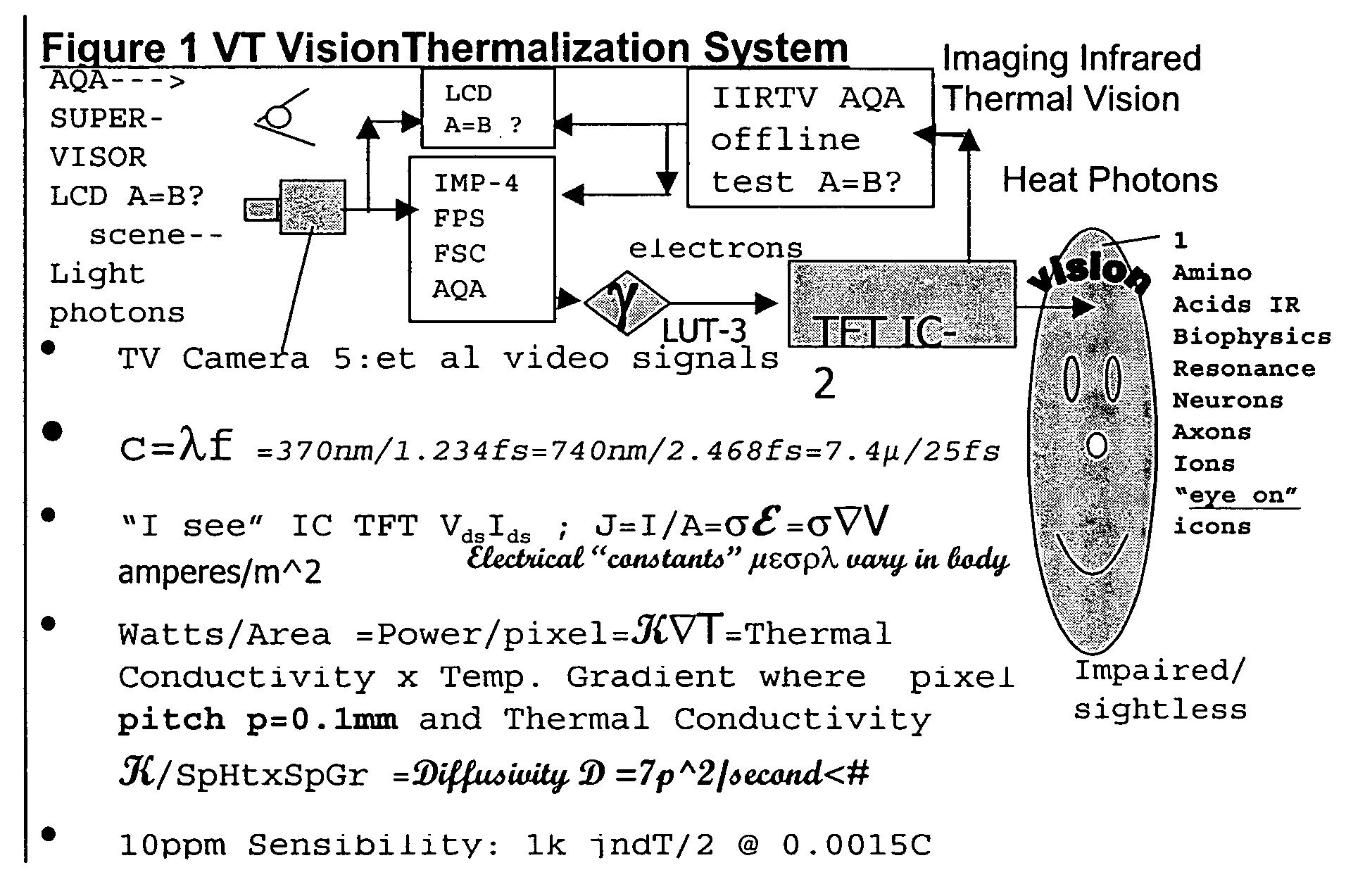 Vision thermalization for sightless and visually impaired