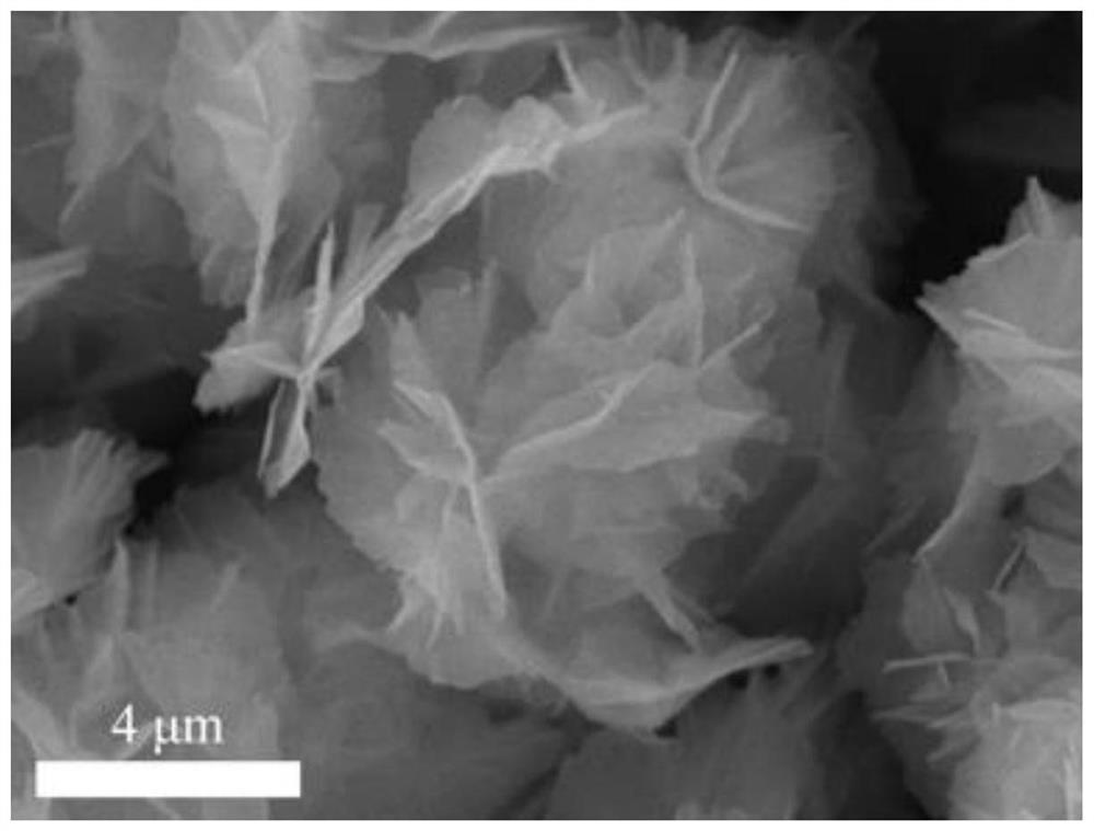 Hollow porous carbon material as well as preparation method and application thereof