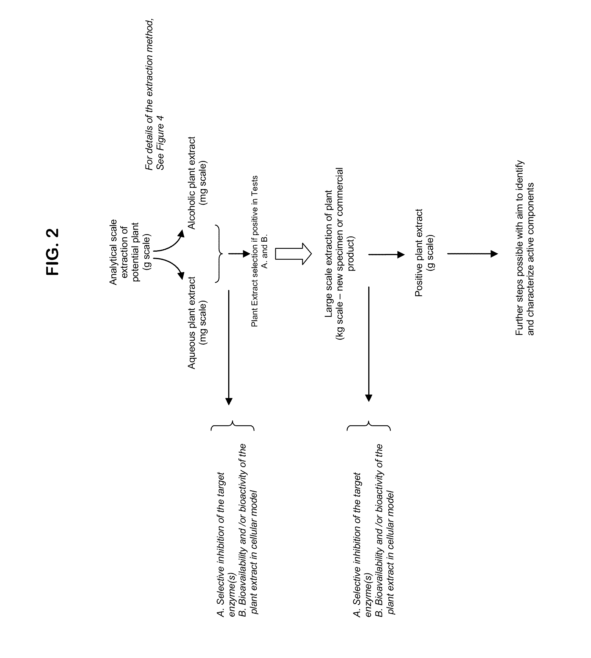 Methods and therapeutic compositions comprising plant extracts for the treatment of cancer