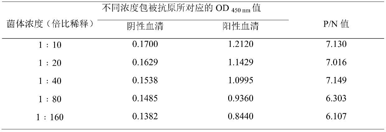 Indirect ELISA detection kit for B-type clostridium novyi