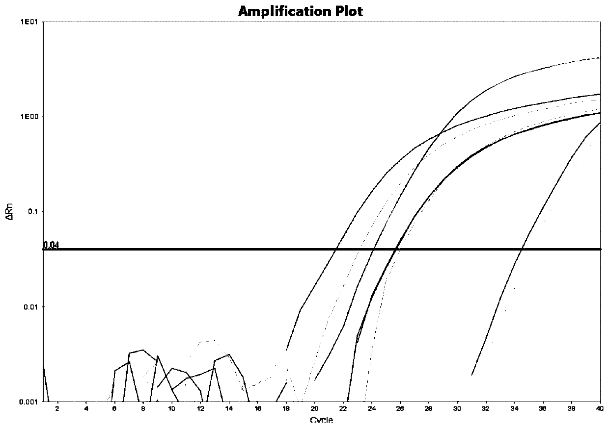 Fusarium pathogen RT-PCR detection primer and probe combination and kit