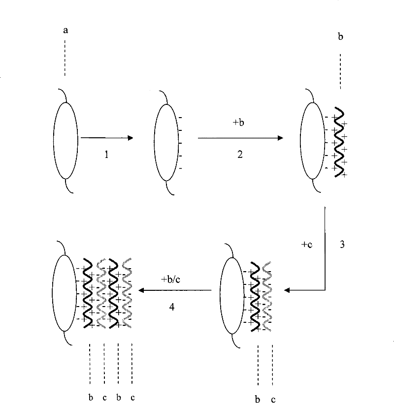 Artificial crystalline len with transforming growth factor resistant beta2 antibody membrane on surface and manufacturing method thereof