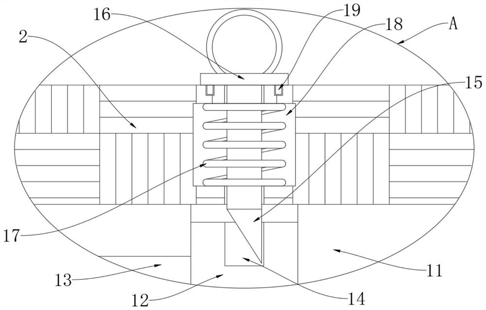 Automatic carrying equipment for food materials