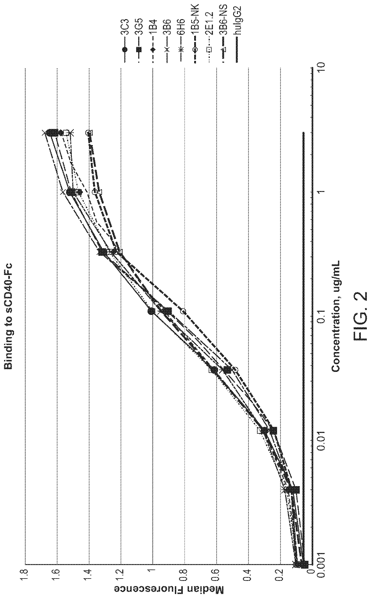 Agonistic antibodies that bind CD40