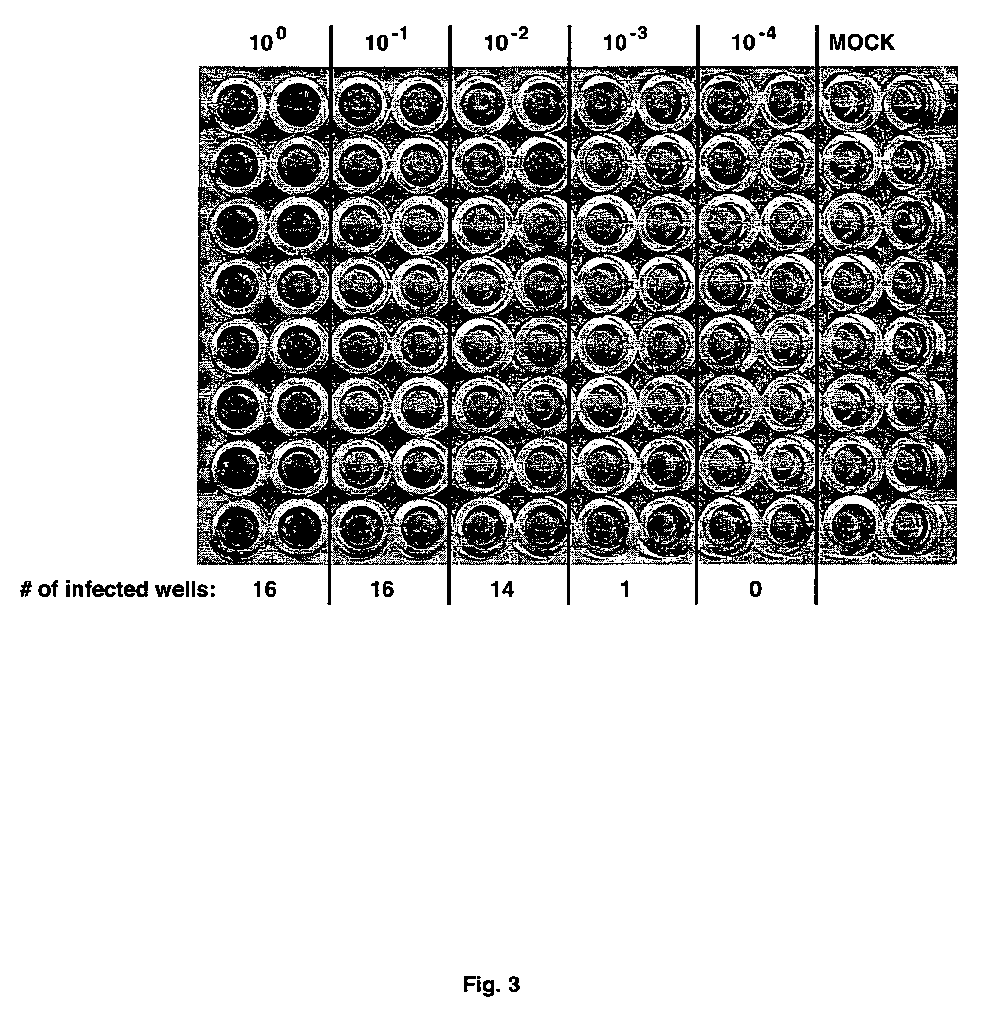 Infectious, chimeric hepatitis C virus, methods of producing the same and methods of use thereof