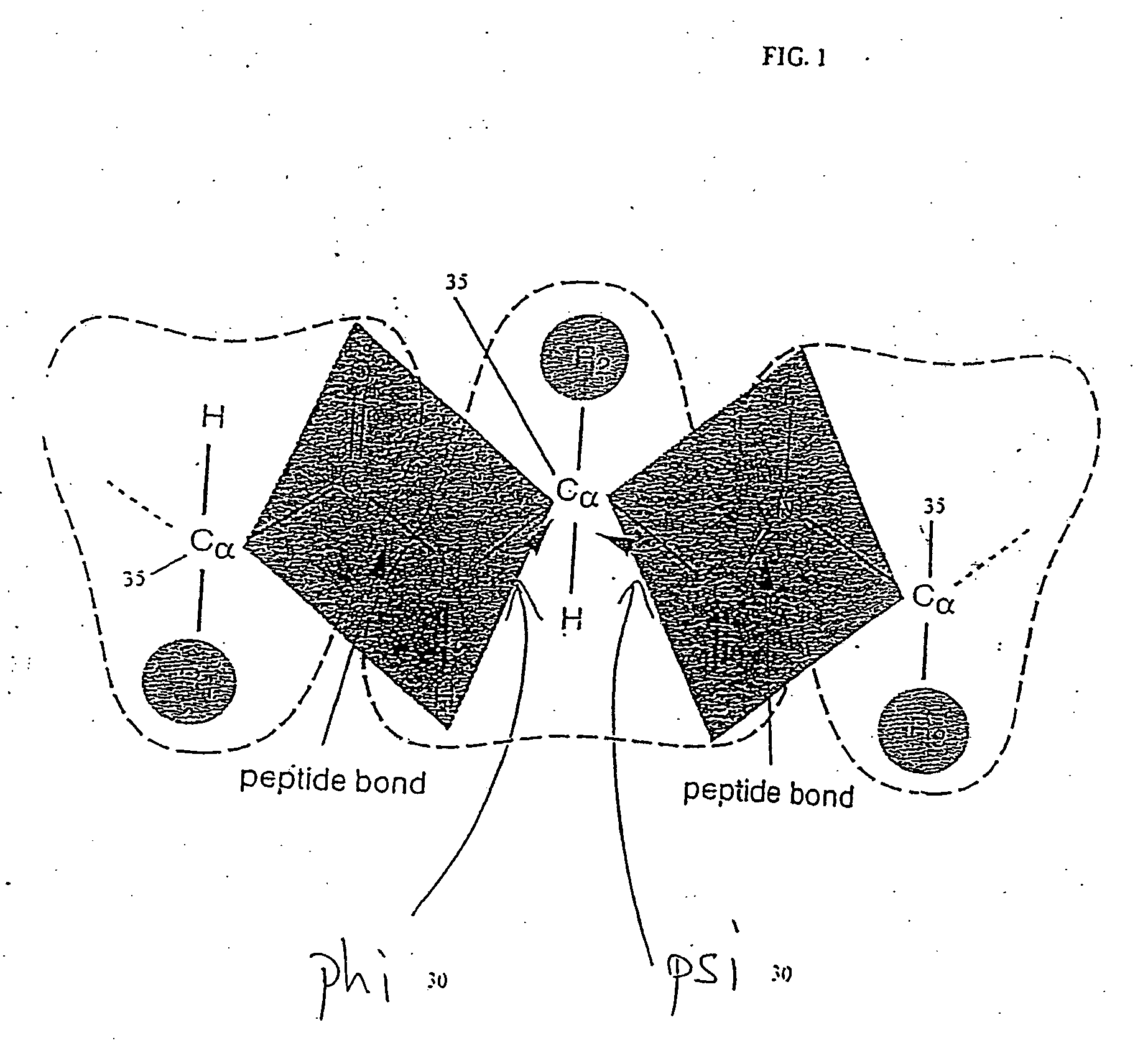 Method and system for designing proteins and protein backbone configurations