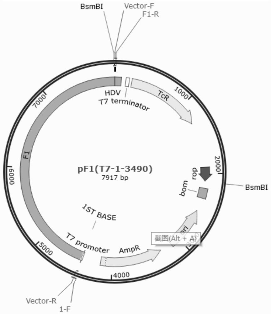 Preparation method of duck tembusu virus infectious cDNA and preparation method of recombinant virus rDTMV-QY21