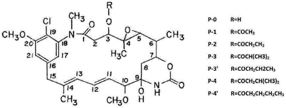 Method for preparing ansamitocin P-3 from precious orange actinosynnema pretiosum