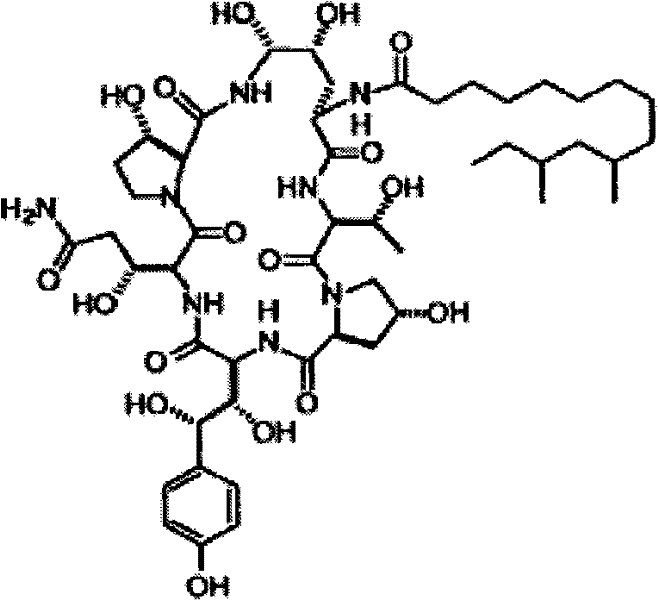 Separation and/or purification of pneumocandin b0 from c0