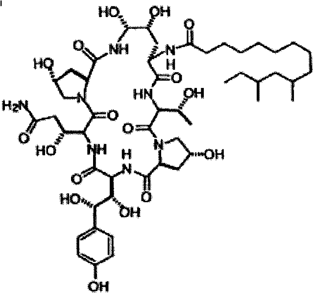 Separation and/or purification of pneumocandin b0 from c0