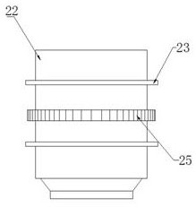 Fermentation device and fermentation process for fruit wine processing