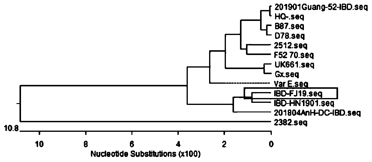 Triple inactivated vaccine and preparation method thereof