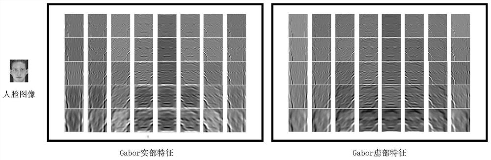 A Robust Face Recognition Method Based on Image Sparse Representation