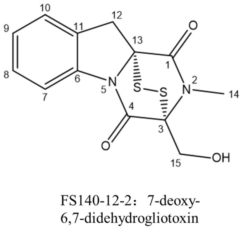 Deep sea fungus FS140 anti-gliotoxin self-protection gene mfs-get and application thereof