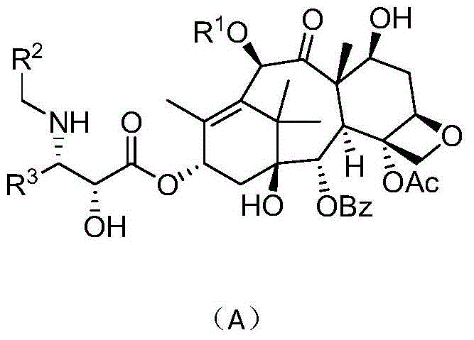 Derivatives of taxol and taxotere and composition and anti-tumor application of derivatives