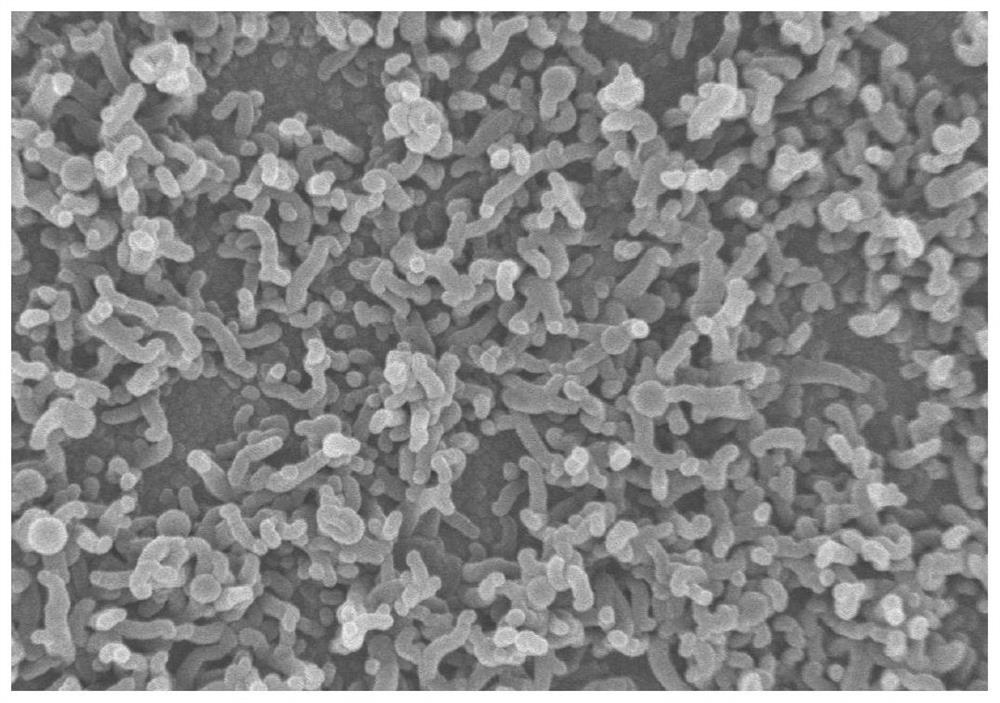 Polyamide nanofiltration membrane with pattern surface and preparation method