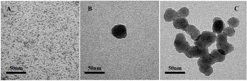 Thermo-sensitive western blot sensing microspheres based on quantum dots and preparation method of same