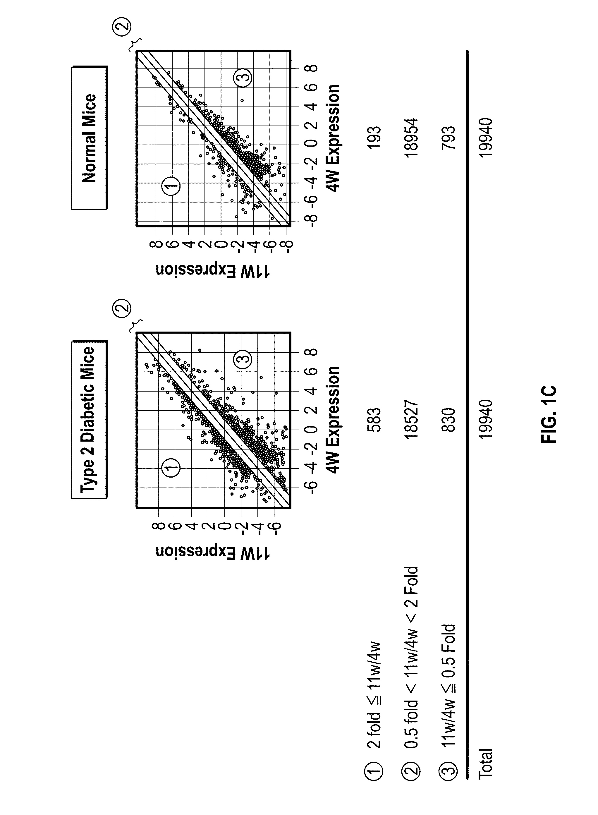 Method for treating and preventing type 2 diabetes