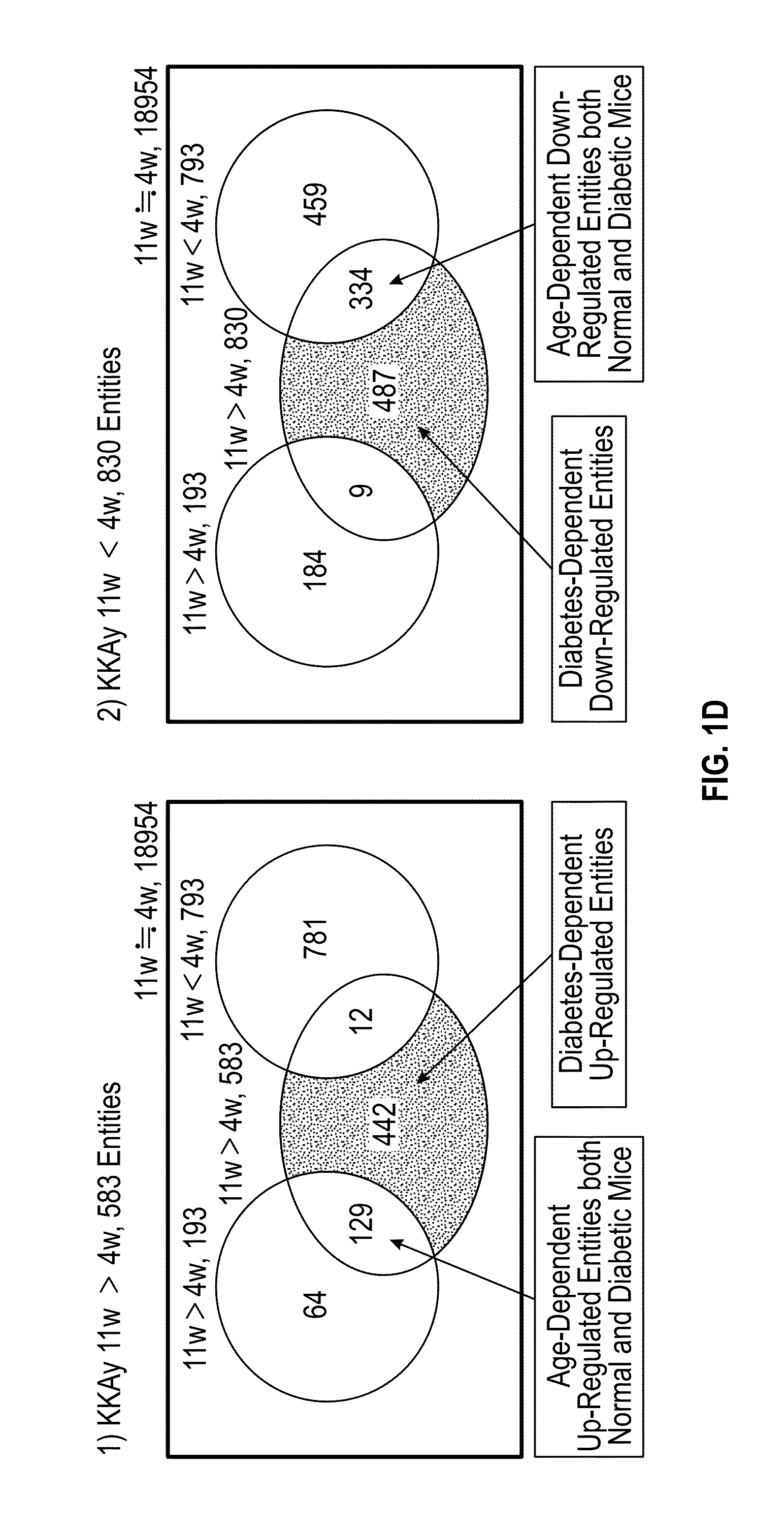 Method for treating and preventing type 2 diabetes