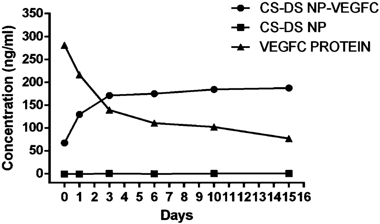VEGFc (vascular endothelial growth factor) protein slow-release nano-particle for improving spermatogenesis and application of nano-particle