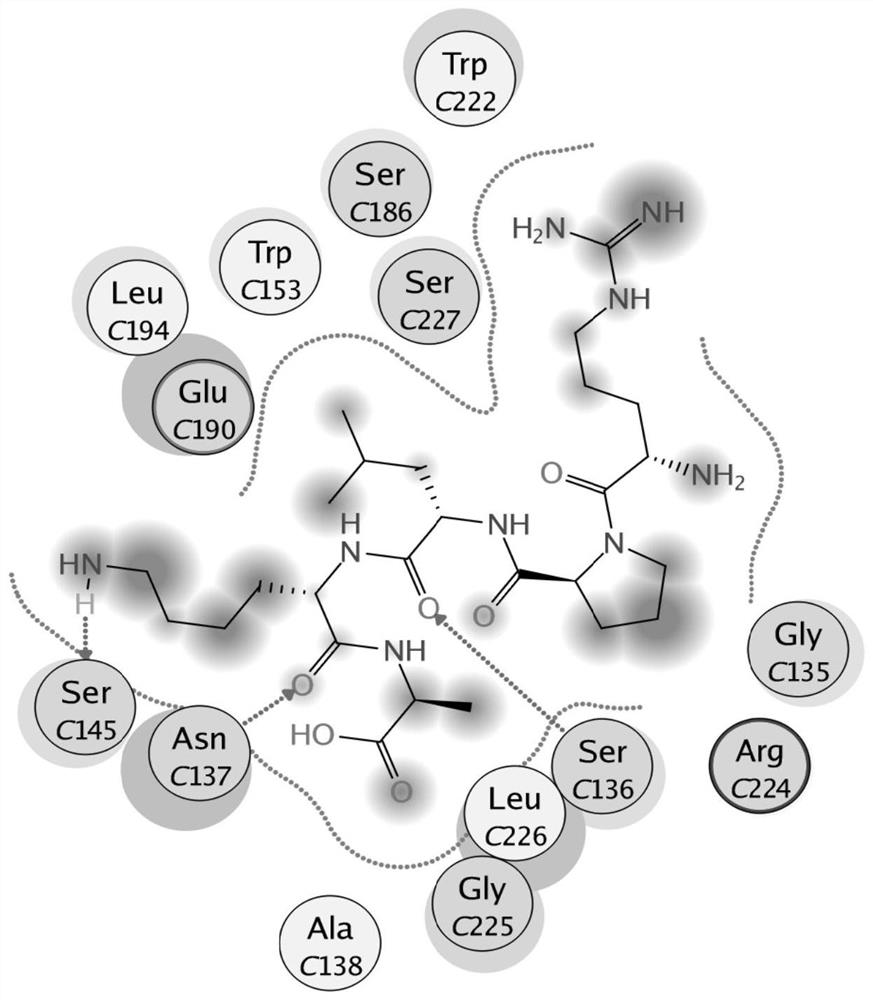 A kind of oligopeptide and its derivative and application