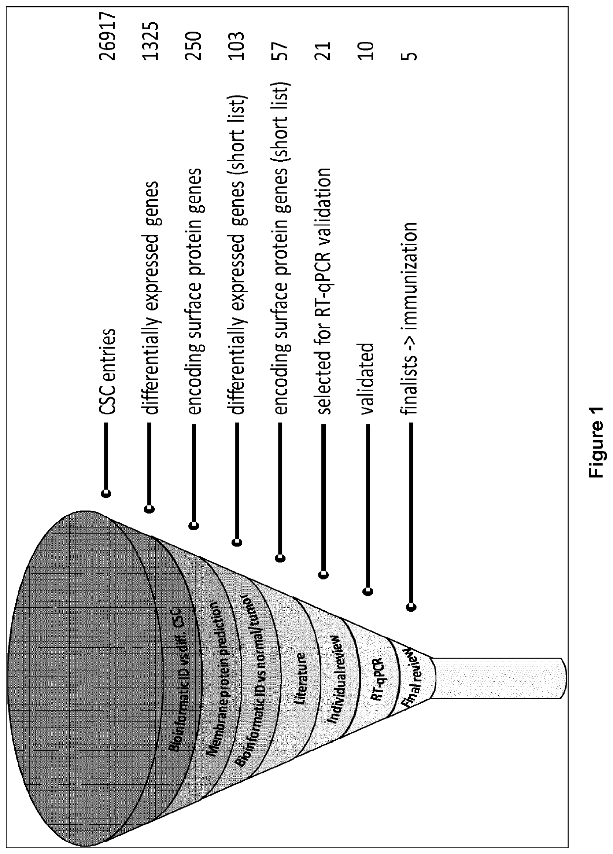 Monoclonal antibody Anti-fgfr4