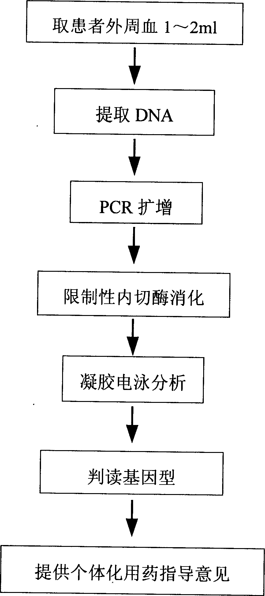 Genotype detection kit for individual administration and application method thereof