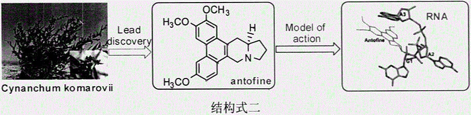 Phenanthrene-containing heterocyclic compounds, preparation method thereof and anti-plant virus application