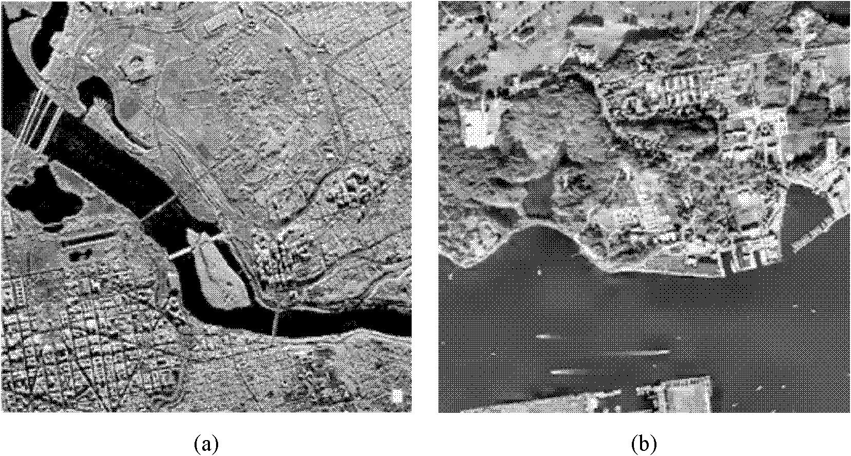 Compressed learning perception based SAR (Synthetic Aperture Radar) high-resolution image reconstruction method