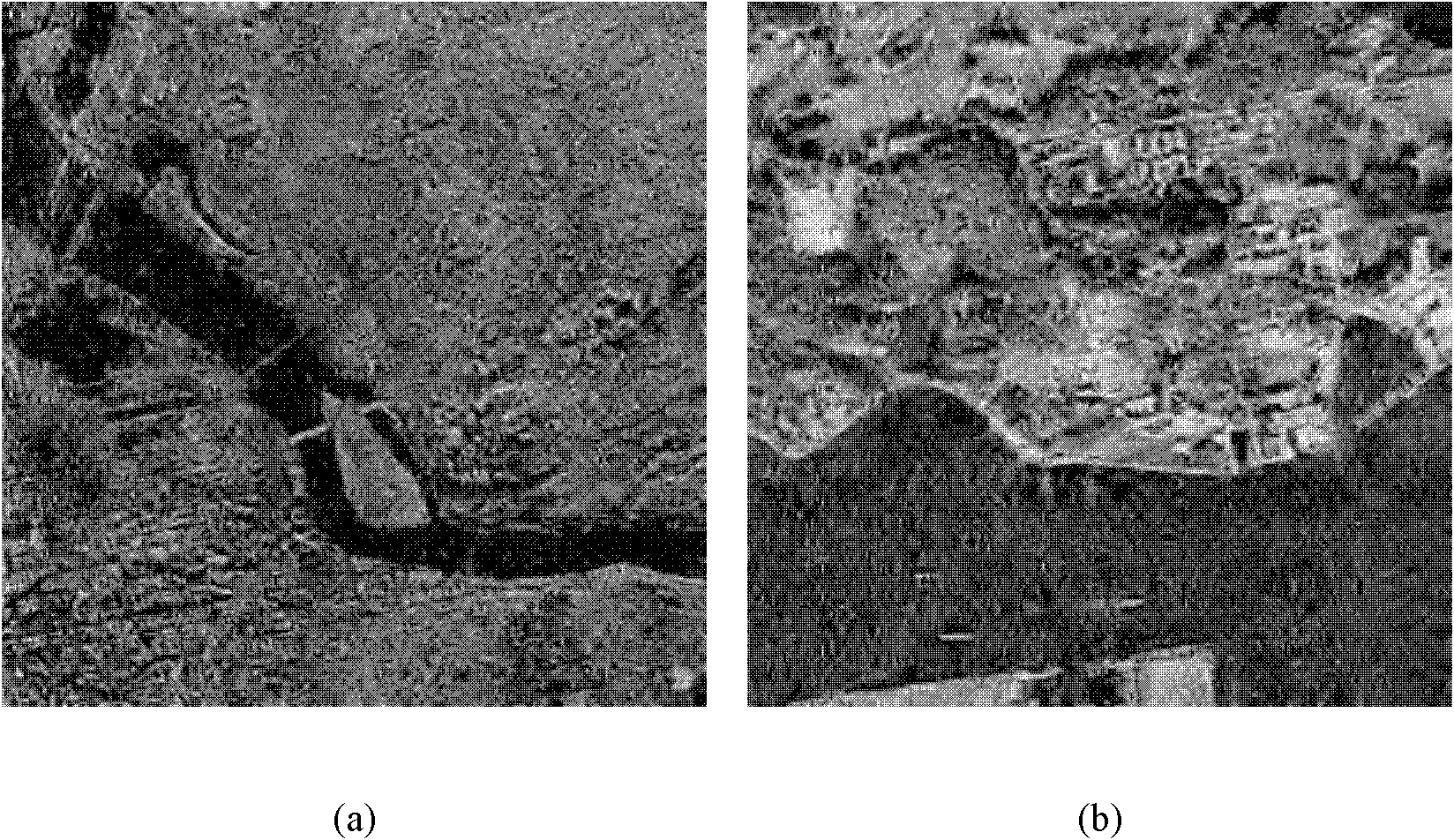 Compressed learning perception based SAR (Synthetic Aperture Radar) high-resolution image reconstruction method