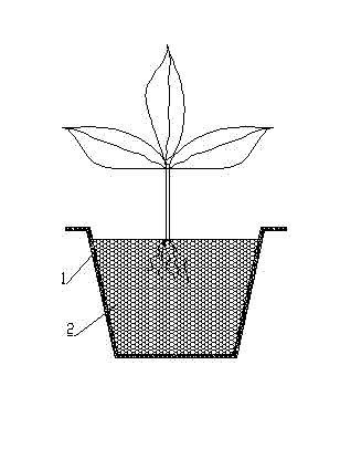 Multi-hole planting sand and sand planting structure