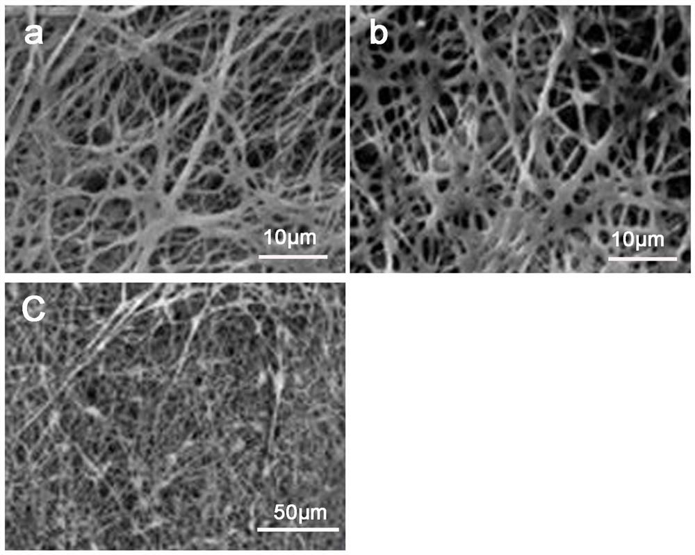 A kind of multifunctional nanofiber-based composite hemostatic patch and preparation method thereof